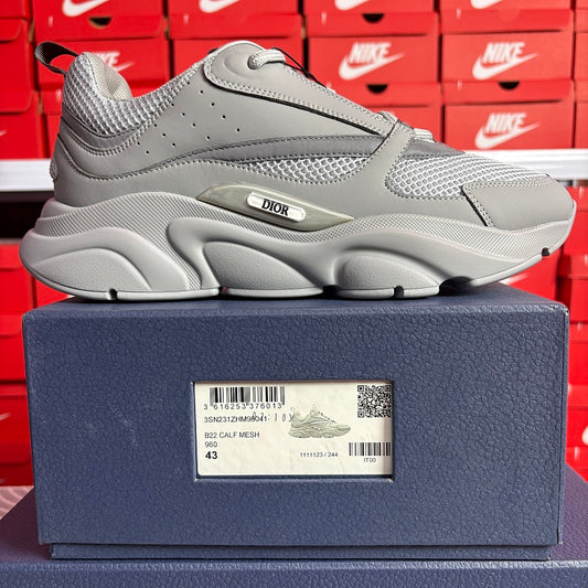 Sneaker Dior B22 Calf Mesh Gris